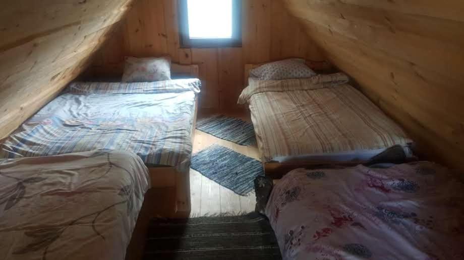 Hostal Oksa Puhkemaja Võru Exterior foto